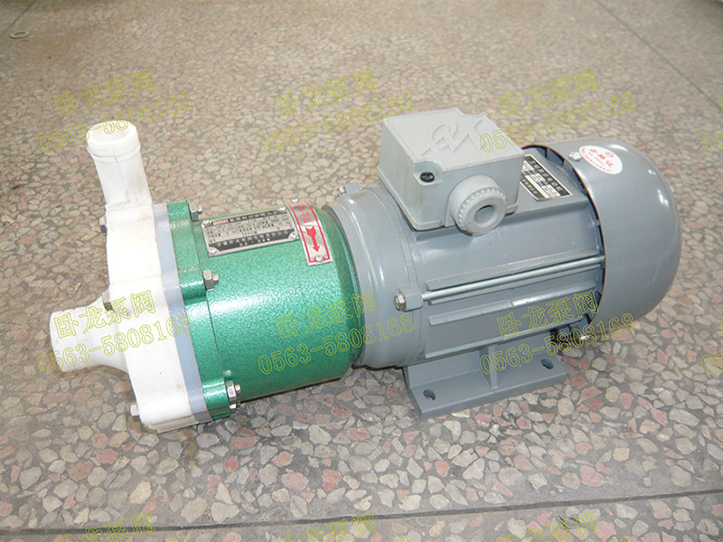 氟塑料磁力泵展示